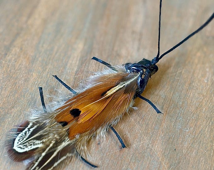Featured listing image: Florida Feather Cockroach Cat Toy, Teaser Wand Attachment, Interactive Play Enrichment, Handmade Prey Toy