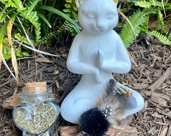 Silvervine Cat Toy: Feather & Fur Stick with Catnip Jar