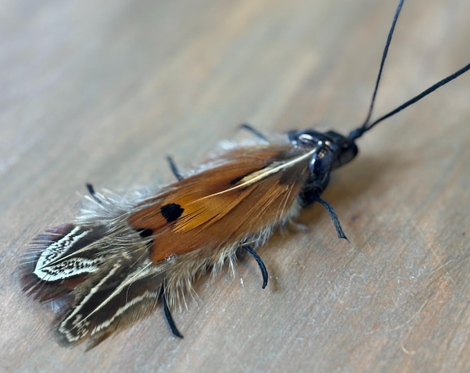 Featured listing image: Florida Feather Cockroach Cat Toy, Teaser Wand Attachment, Interactive Play Enrichment, Handmade Prey Toy