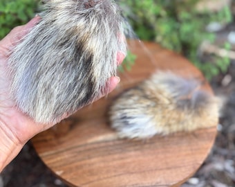Coyote Fur Puff – Natural Wand Teaser Attachment