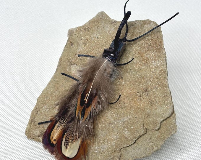 Featured listing image: Florida Feather Cockroach Cat Toy, Teaser Wand Attachment, Interactive Play Enrichment, Handmade Prey Toy
