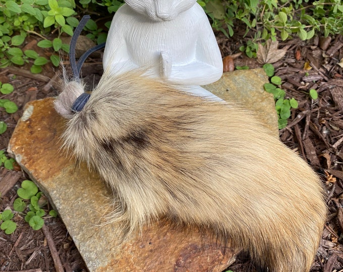 Featured listing image: Coyote Tail Cuddle, Carry and Kick Cat Toy