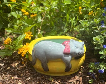 Napping Kitty Ceramic Planter + Catnip Seeds