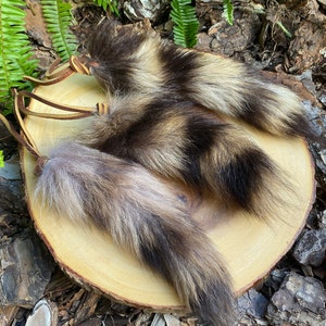 May include: Three raccoon tails with leather straps attached. The tails are brown, black, and white with long, soft fur. The tails are displayed on a wooden surface.