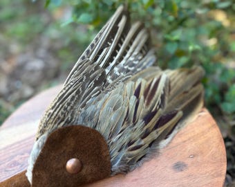 Pheasant Wing Prayer Fan, Elm Wood Handle, Energy Healing