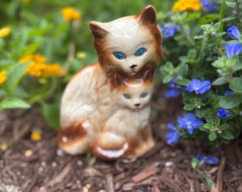 Mama Cat and Kitty