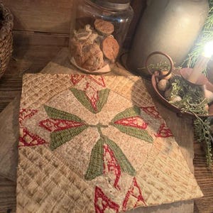 May include: A square quilted textile piece featuring a central diamond motif with embroidered green leaf shapes and red geometric patterns. The background fabric is a light beige with a cross-hatched quilted texture throughout the entire surface.