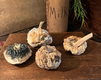 Primitive Dried Pumpkin Gourds Bowl Fillers Early Look Grubby Homestead Cupboard Tuck Set #31