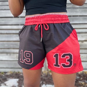 DST - 1913 color block shorts - Delta Sigma Theta | gift