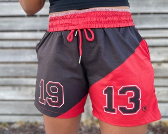 DST - 1913 color block shorts - Delta Sigma Theta | gift