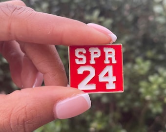 DST - Spr 24 lapel pin - Delta brooch | gift