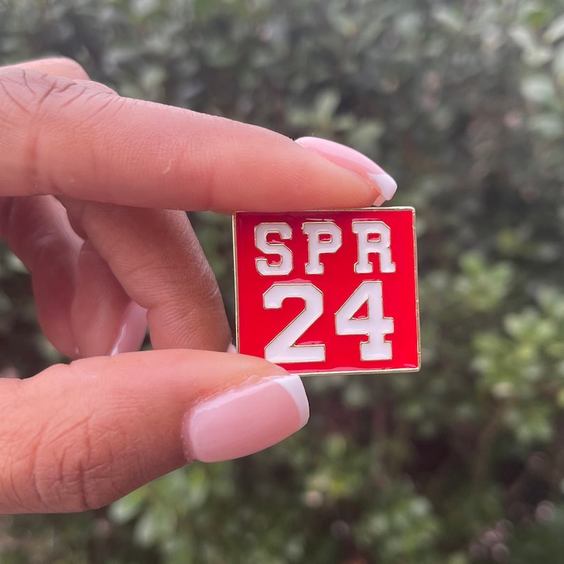 DST Spr 24 lapel pin Delta brooch gift image 1