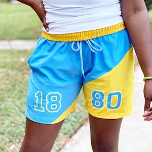 May include: Blue and yellow swim shorts with the numbers 18 and 80 printed on them.