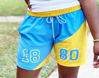 Southern University - 1880 color block shorts