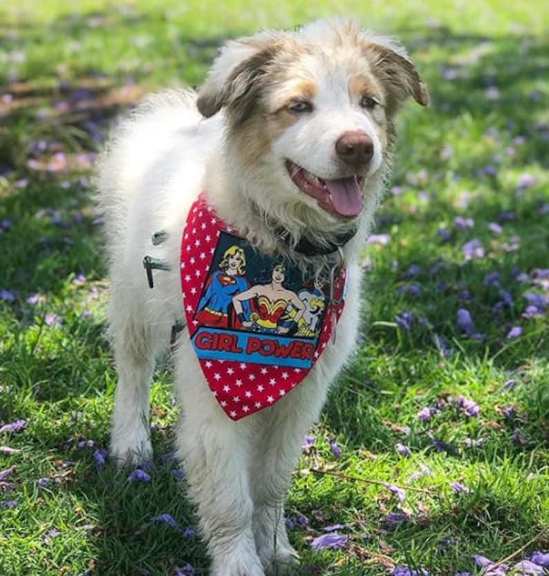 Superheld Hund Bandana Superman Hund Bandana Batman Haustier Etsy