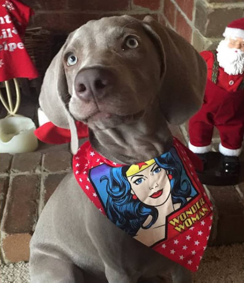 Superheld Hund Bandana Superman Hund Bandana Batman Haustier Etsy