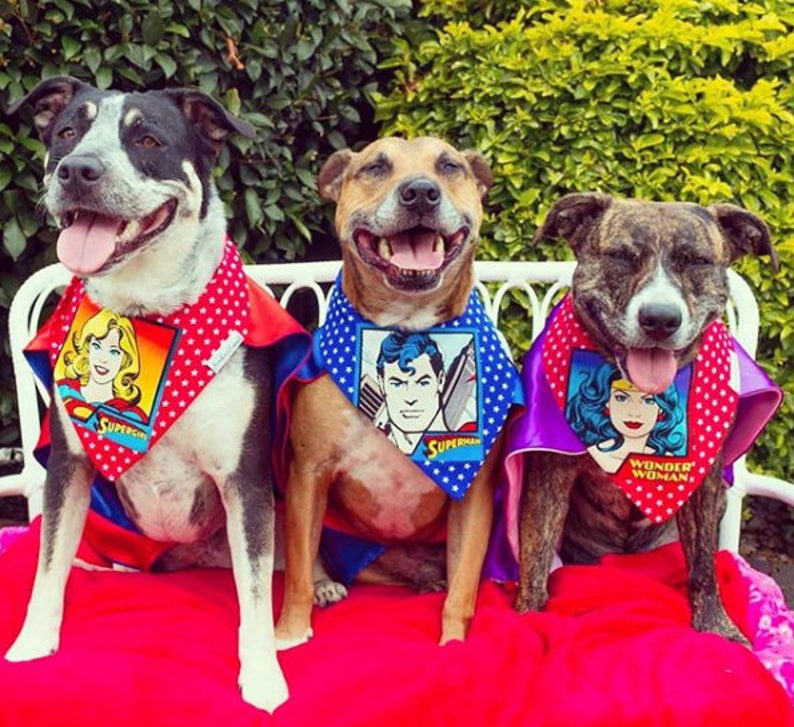 Superheld Hund Bandana Superman Hund Bandana Batman Haustier Etsy