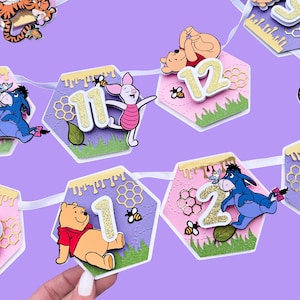 Banner de hitos de Winnie the Pooh, banner de fotos mensual de Winnie the Pooh, cumpleaños de Winnie the Pooh, fiesta de Winnie Pooh, fiesta temática de Winnie Pooh