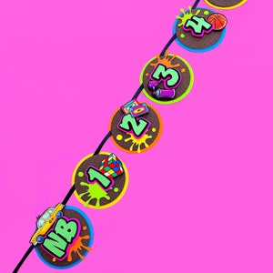 Fresh Prince Milestone Banner, Fresh Prince Monthly Photo Banner, Fresh Prince Birthday, Fresh Prince Party, Fresh Prince Birthday Banner