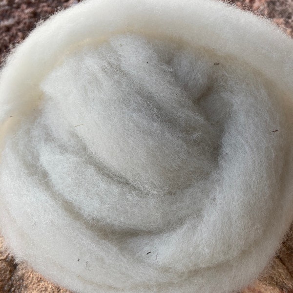 Clun Forest Roving 4 oz Spinning Fiber Wool Natural Color se2se Shave Em 2 Save Em