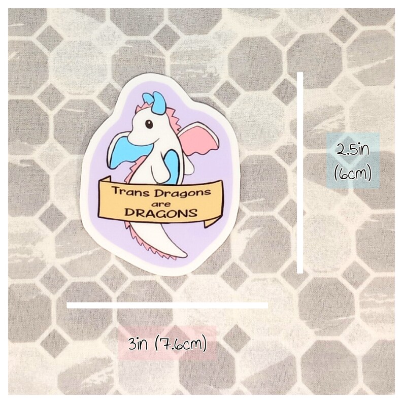 Trans Pride Dragon 3in Vinyl Sticker - Etsy