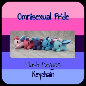 May include: A row of plush dragon keychains in various colors, including pink, blue, and purple. The text "Omnisexual Pride" is above the dragons, and "Plush Dragon Keychain" is below. The background features the colors of the omnisexual pride flag.