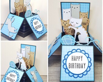 Personalised Cat Pop Up Card, Unique Cat Birthday Box Card