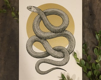 Sun Serpent