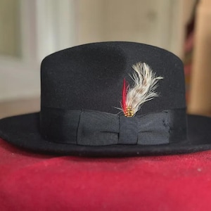 Stylish Black Fedora