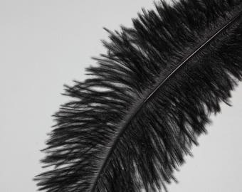 Ten ( 10 ) black first grade soft floss ostrich feathers 17-20cm