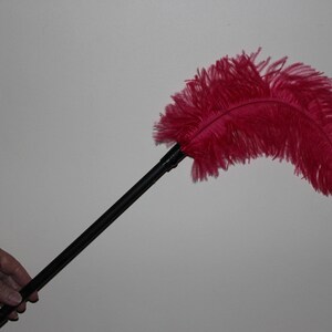 Two ( 2 ) ostrich feather cat wands with first grade ostrich feathers 35-40cm in colours