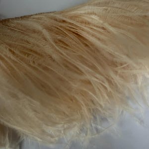 OYSTER African quality 5 ply feather fringe - one metre lengths for costumes millinery