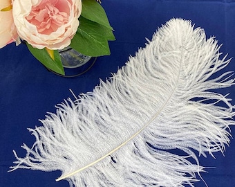 Ten ( 10 ) white ostrich wing plumes 35-40cm first grade