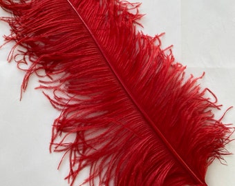 10 Red ostrich wing plumes 50-55cm first grade quality