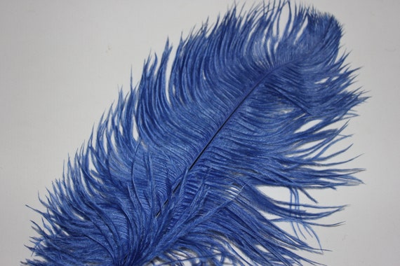 One royal blue ostrich blondene feather first grade 350-400MM 1