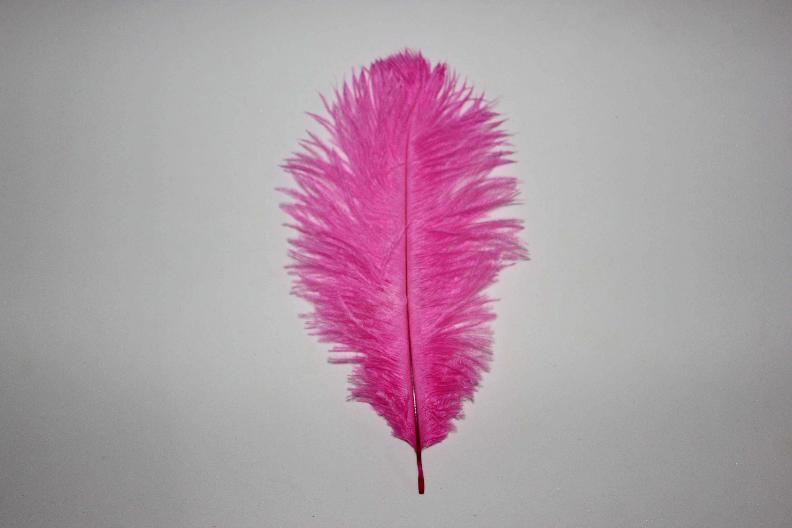 7-9 Inch Long Pink Feathers. Magenta Bird Quills for Making Costumes. Hot  Pink Rooster Tail Feathers for Halloween Masks and Hair Braids 