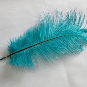 20Pcs 10-12Inch Peacock Feathers Decoration Crafts Bulk Multicolored  Natural Pea