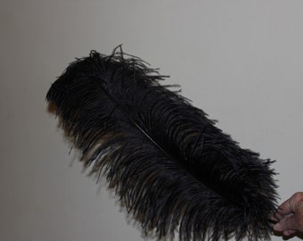 One black wing ostrich plume 24-26 inch ( 60-65cm ) first grade selected wing plumes