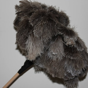 May include: A gray feather duster with a wooden handle and a black grip. The duster's head is made of soft, fluffy feathers, ideal for cleaning delicate surfaces. The duster is designed for household use.