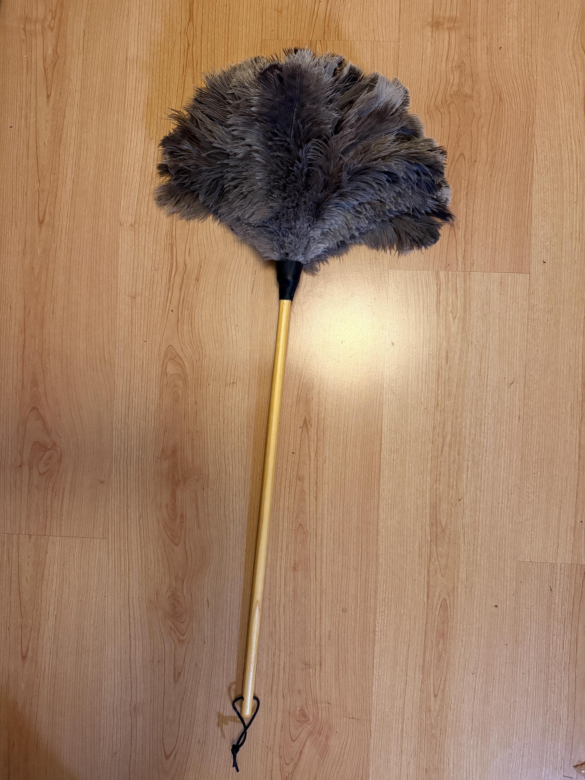 Alta Dusting Products Premium Floss Ostrich Feather Duster – 20-Inch, Includes Protective Tube