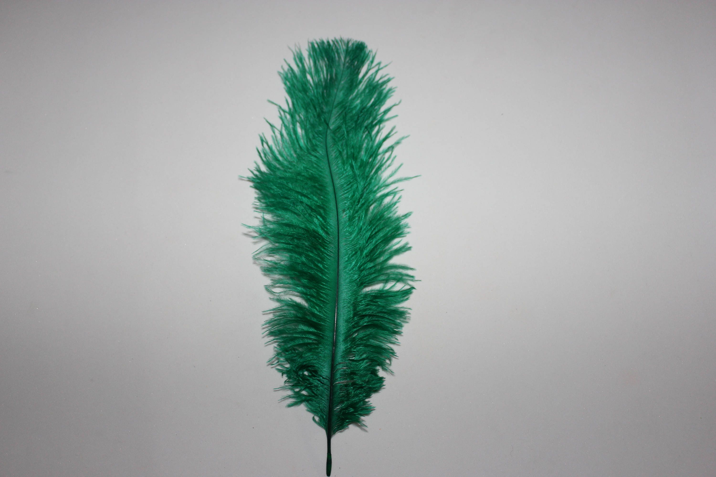 10 LIME GREEN BLONDENE OSTRICH FEATHERS FIRST GRADE 350-400MM 14-16 INCH 10 LIME GREEN BLONDENE OSTRICH FEATHERS FIRST GRADE 350-400MM 14-16 INCH