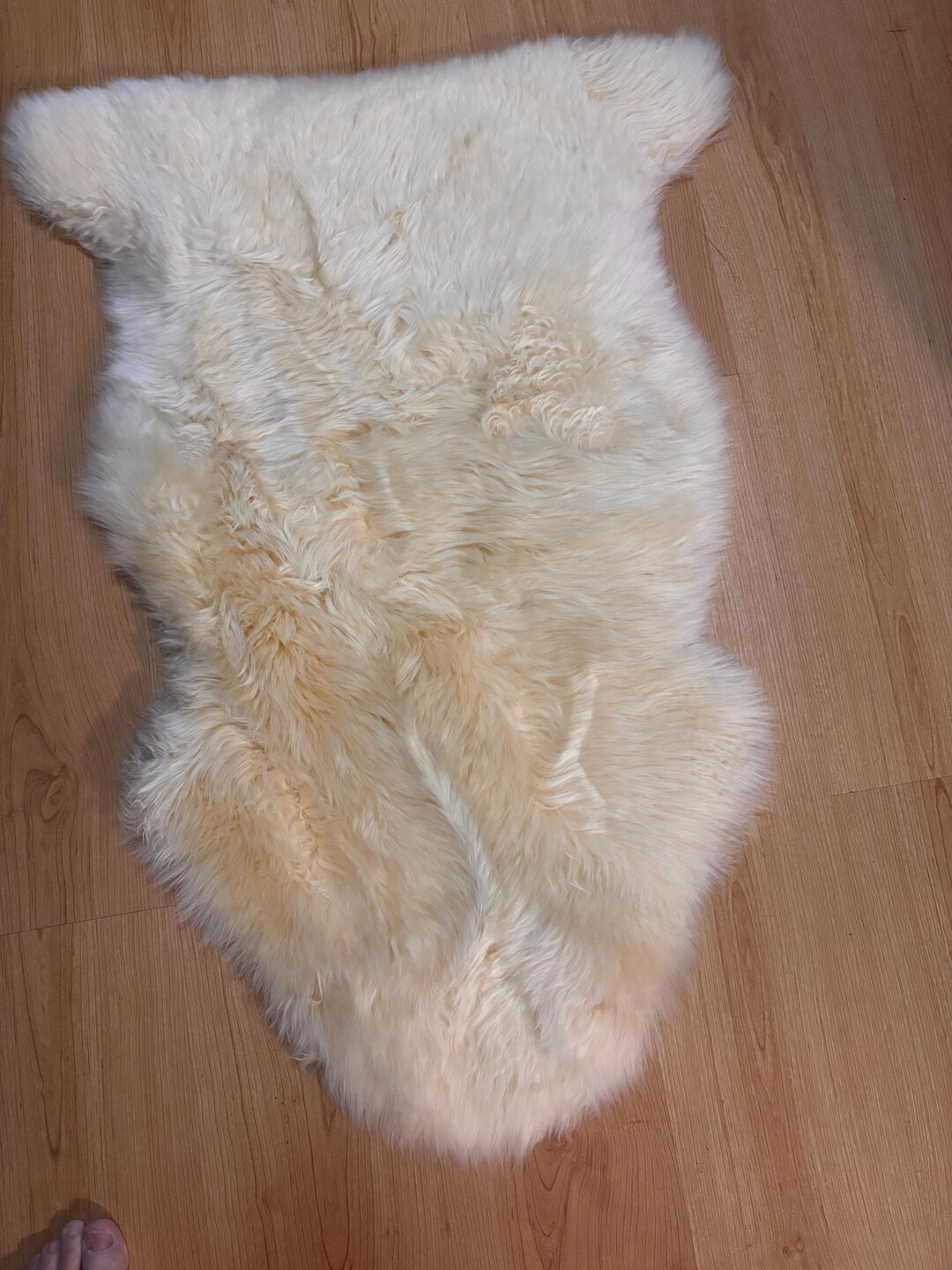 Cream Whole Tanned Lambskin- Floor Rug 90cm Length- Soft Wool Fibres - Etsy
