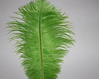 One lime green drabs ostrich feather 15-17 inch ( 37-42CM first grade