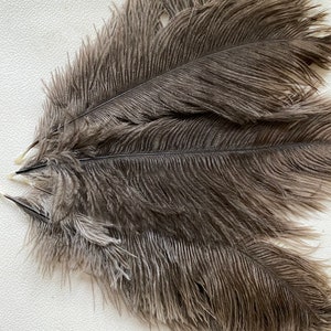 Ten (10) first grade undyed natural soft floss ostrich feathers 22-25cm length (9-10 inch )