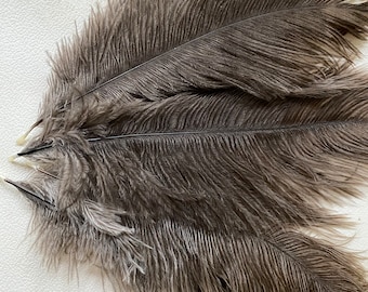 Ten (10) first grade undyed natural soft floss ostrich feathers 22-25cm length (9-10 inch )