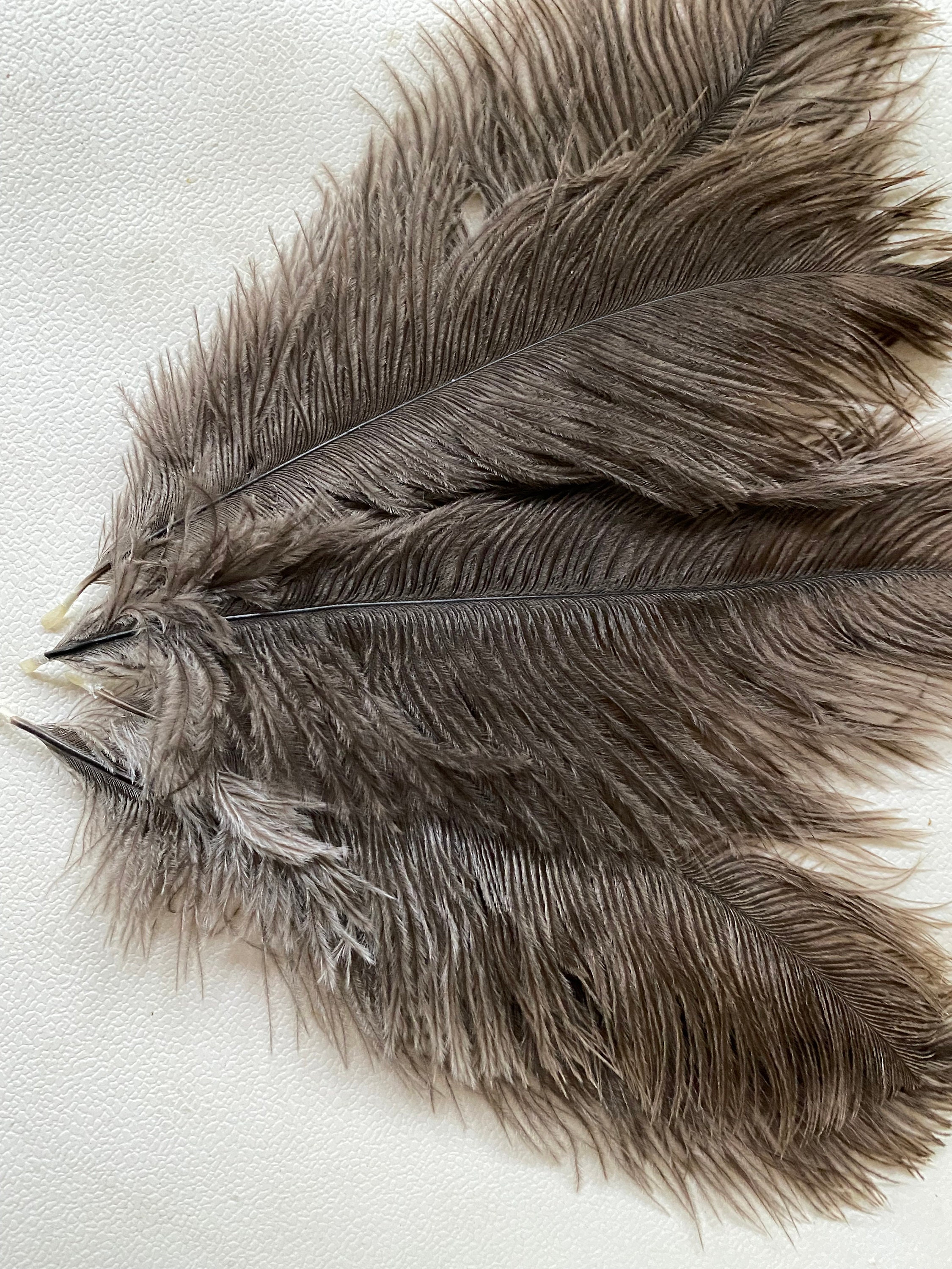 Orange Ostrich Feather 16-20 inch Long per Each