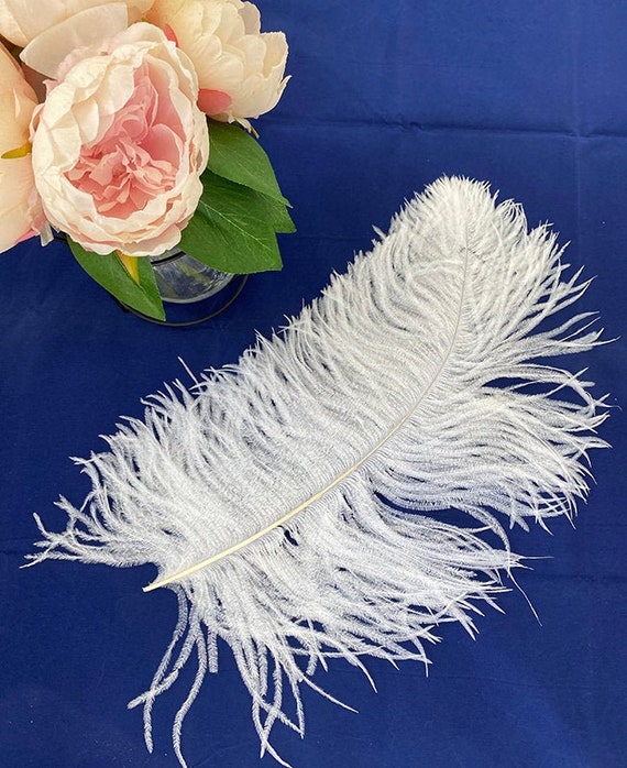 White Long Ostrich Wing Feathers Plume White Long Ostrich Wing Feathers Plume