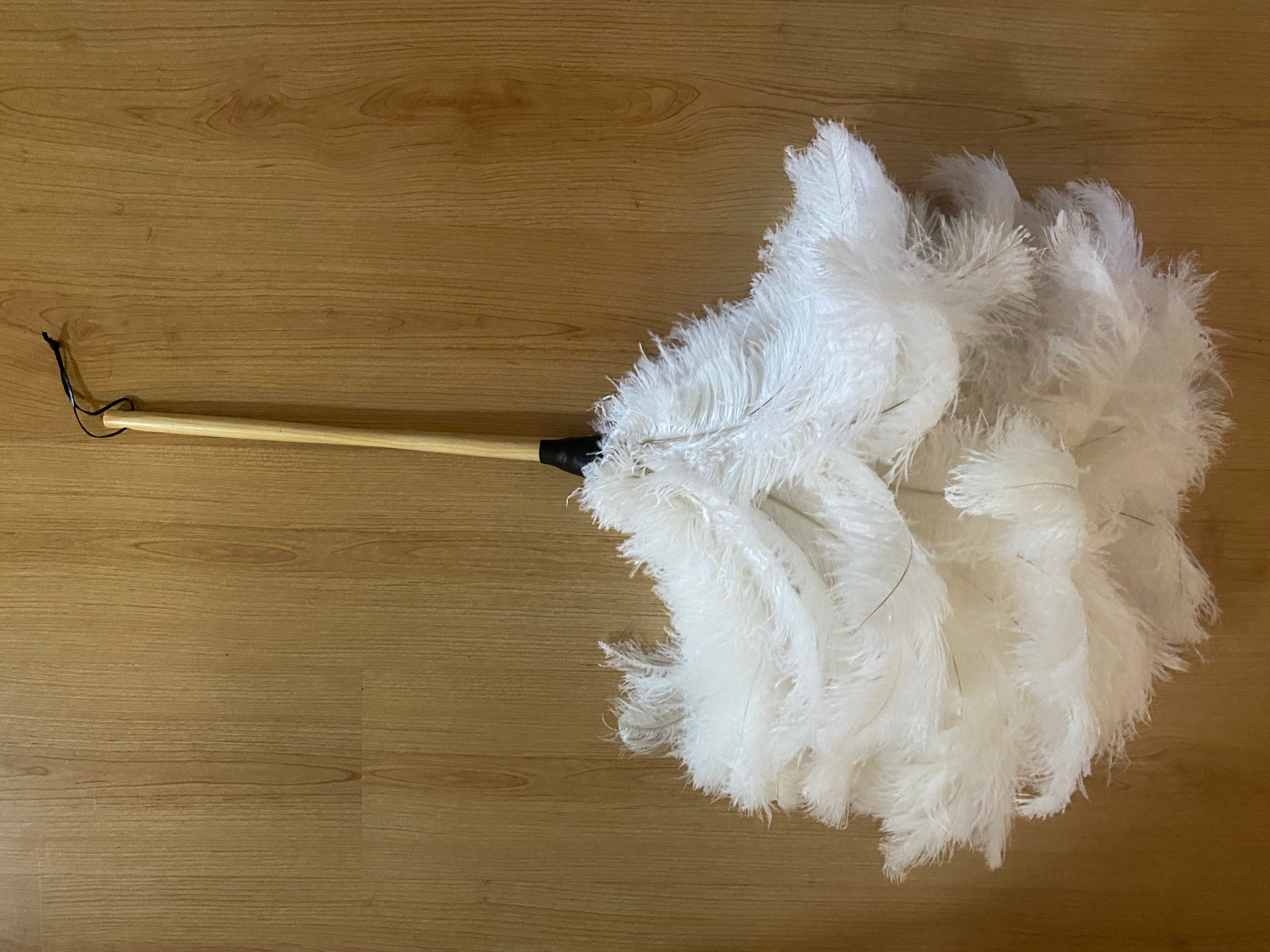 Ostrich Feather Fringe for Sale Online