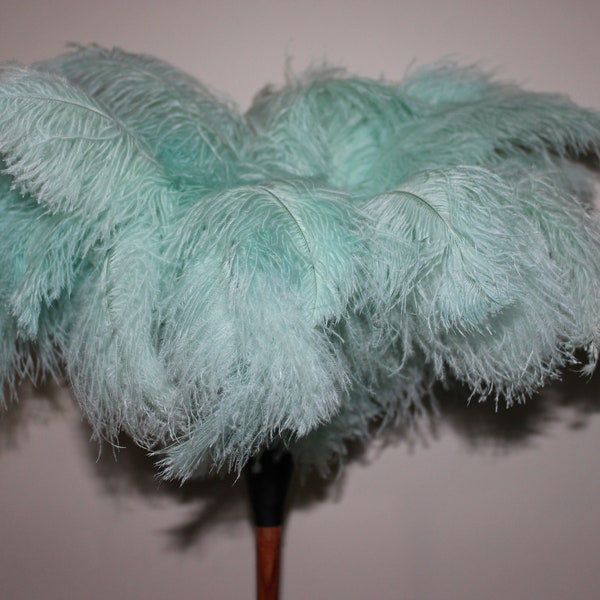 New MINT colour ostrich feather display duster first grade quality