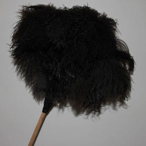 Könnte beinhalten: Ein schwarzer Staubwedel mit einem Holzstiel. Der Staubwedel besteht aus weichen, flauschigen Federn und ist perfekt zum Reinigen empfindlicher Oberflächen.